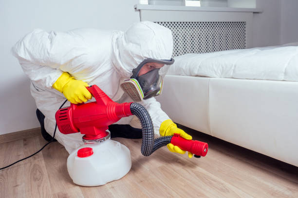 Best Real Estate Pest Inspections  in Diboll, TX